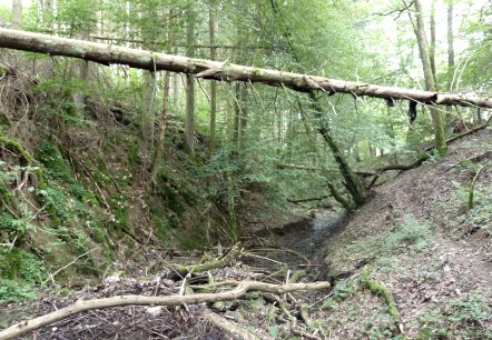 Dierbachtal, &copy; Tourist-Information Islek