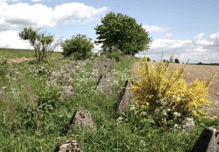 Siegfried line near Großkampenberg, © DLR Eifel