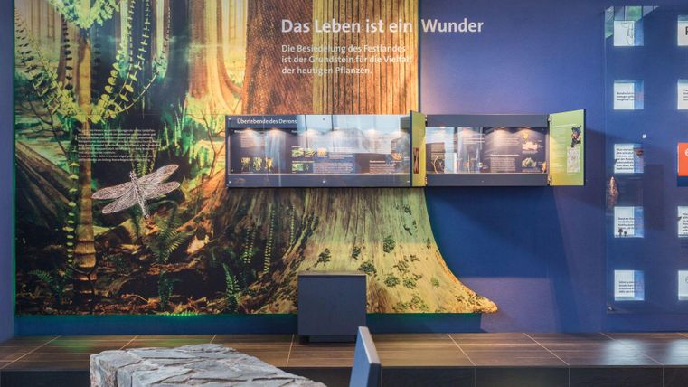 Eine Ausstellung mit einem großen Baum-Motiv an der Wand und Vitrinen, die verschiedene Exponate zeigen. Der Spruch "Das Leben ist ein Wunder" ist deutlich sichtbar.