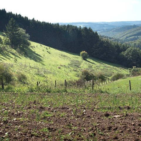 Blick ins M&uuml;hlbach-Tal, &copy; Volker Teuschler