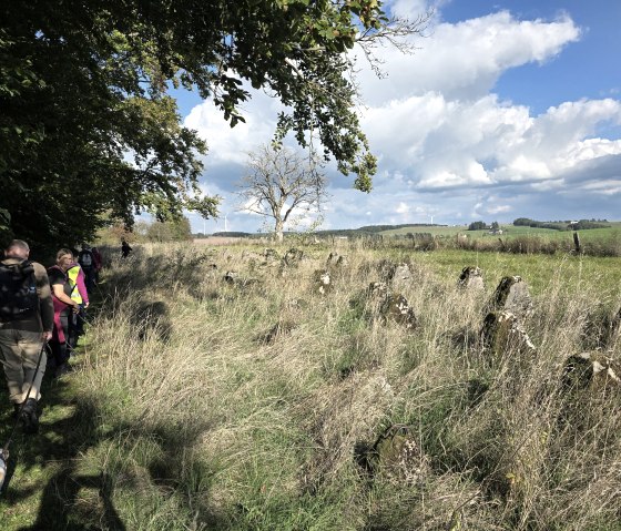 Westwall-Wanderweg