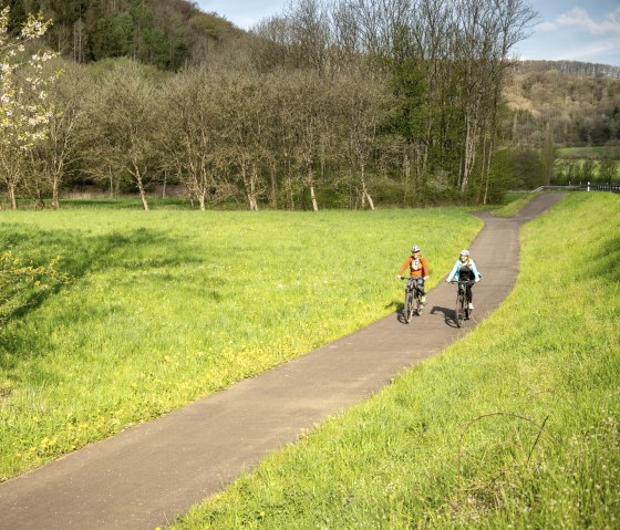 Zwei Radfahrer fahren auf einem asphaltierten Weg durch eine grüne Wiese, umgeben von blühenden Bäumen und Wald im Hintergrund., © Eifel Tourismus GmbH, Dominik Ketz