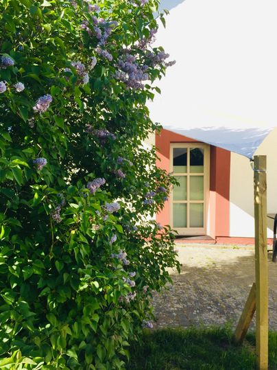 Un joli jardin avec des buissons en fleurs et une entrée bien aménagée. À l'arrière-plan, un bâtiment lumineux est visible.