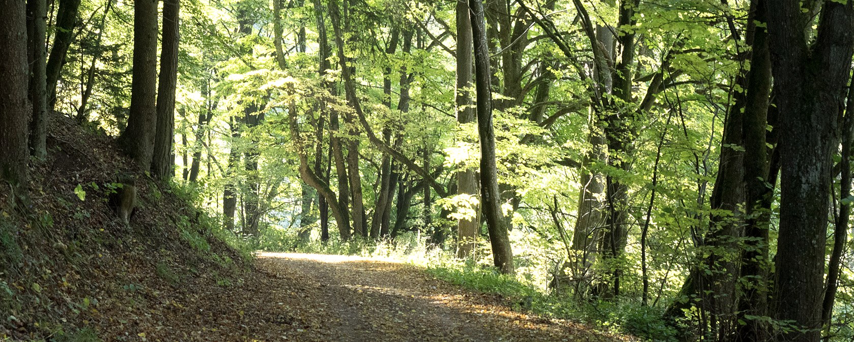 In the Mühlbach valley, © V. Teuschler