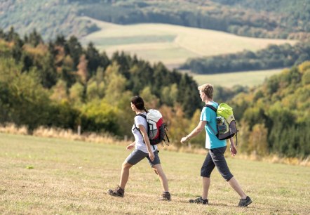 Hikers in nature, © Eifel Tourismus GmbH, Dominik Ketz