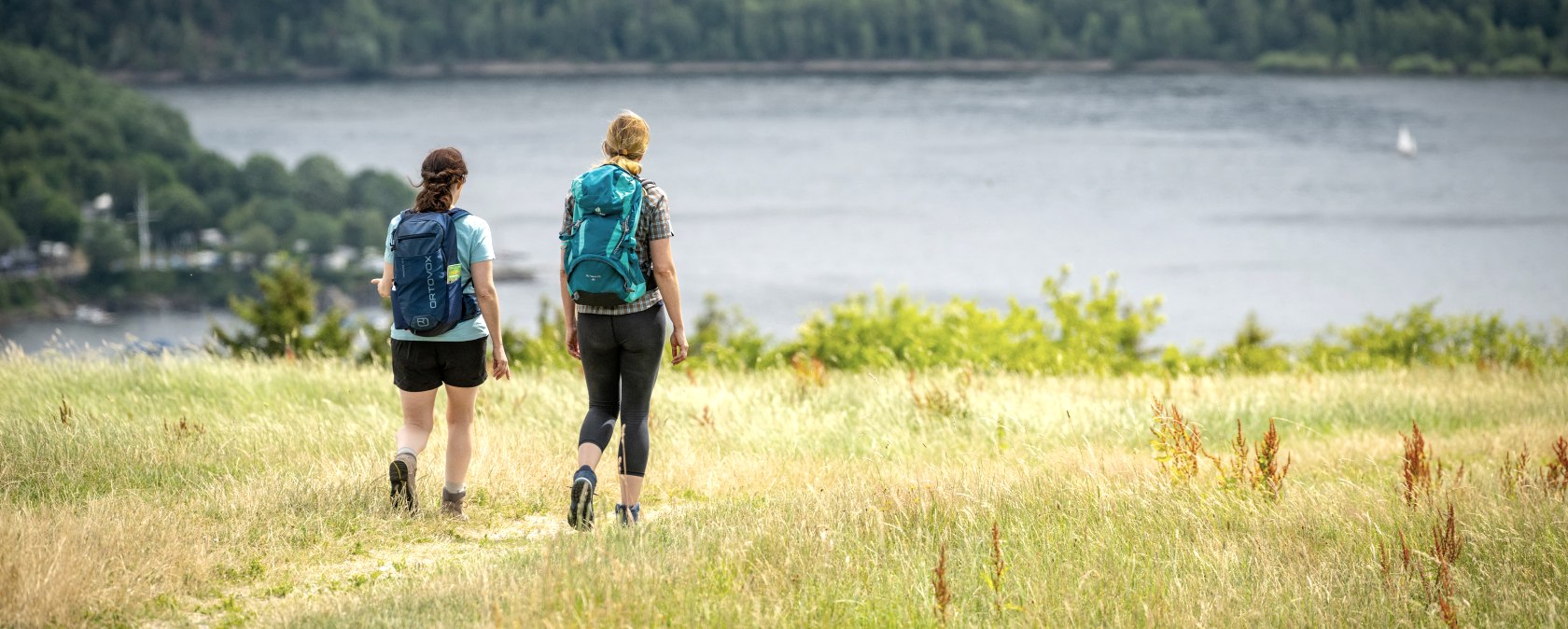 Gansberg Om Hoevel, &copy; St&auml;dteregion Aachen, D. Ketz
