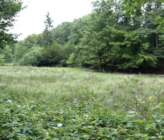 Floodplains, © Tourist-Information Islek