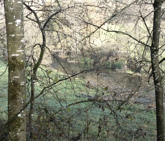 The river Pr&uuml;m near Waxweiler, &copy; Tourist-Information Islek