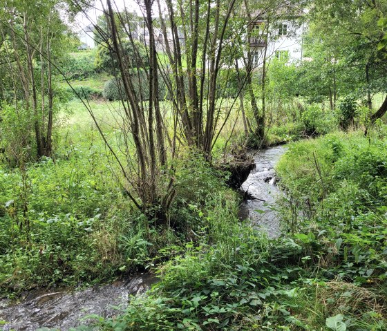Weiherbach, © Tourist-Information Islek