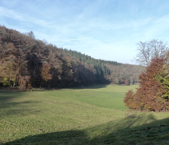 Wandelroute nr. 87 bij Manderscheid, © Tourist-Information Islek