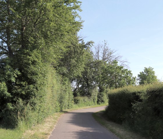 Weg am Rand von Gro&szlig;kampenberg, &copy; Tourist-Information Islek