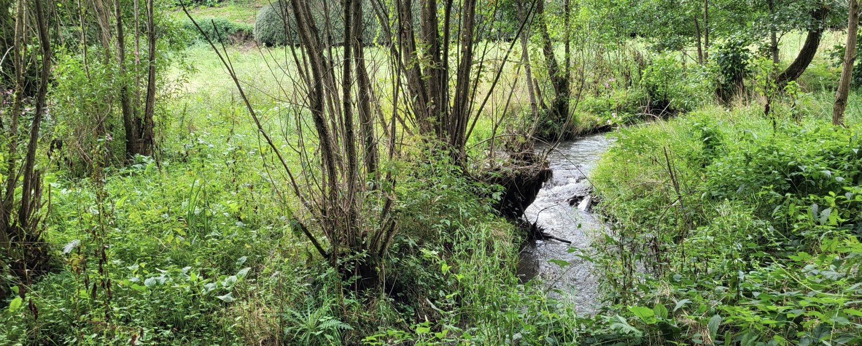 Weiherbach, © Tourist-Information Islek