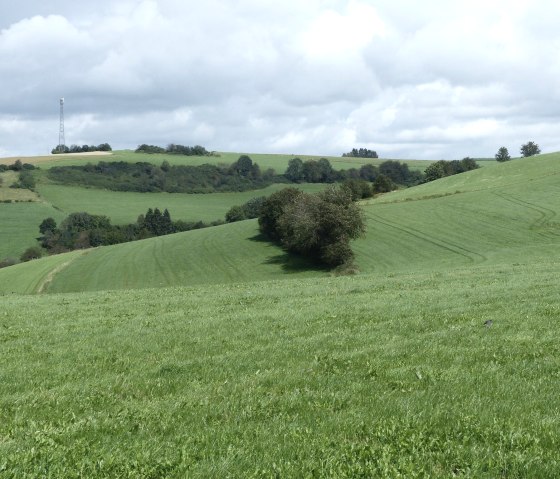 Fernblick bei Eschfeld, © Tourist-Information Islek