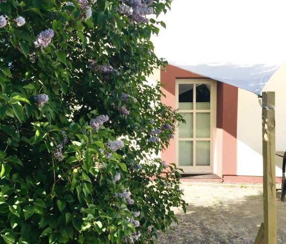 Fliederbl&uuml;te im Fr&uuml;hling, &copy; Feha Zum M&uuml;hlbachtal