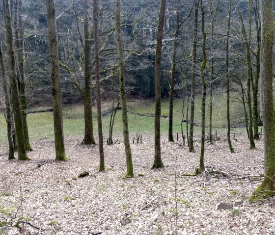 "Steinbach" im Tal, &copy; Tourist-Information Islek