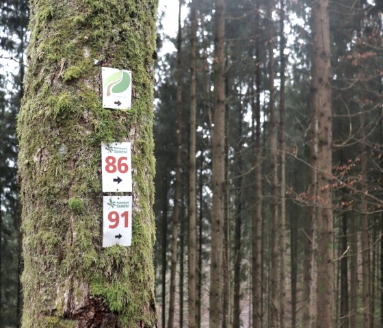 Waymarking, &copy; Tourist-Information Islek