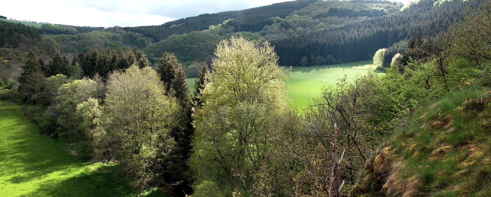 Irsental near Daleiden, © V. Teuschler