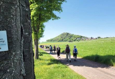 20250501_125057, © Tourist-Info Wittlich Stadt&Land