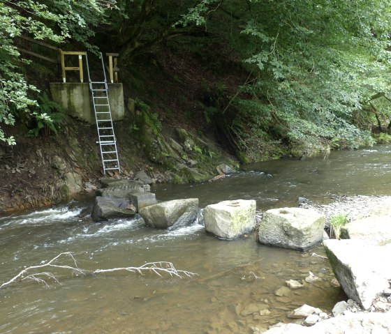 Stepping stones lead across the Irsen stream, © Tourist-Information Islek, Ingrid Wirtzfeld