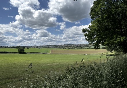 Grüne Felder und Bäume unter einem bewölkten Himmel, im Hintergrund eine Stadtansicht. Die Szene wirkt ruhig und idyllisch., © TI Bitburger Land