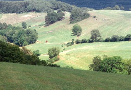 Eifel heights near Plütscheid, © V. Teuschler