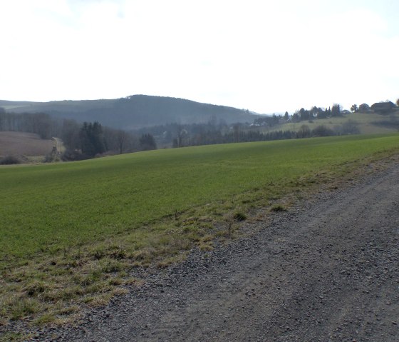 neu angelegter Weg, &copy; Tourist-Information Islek