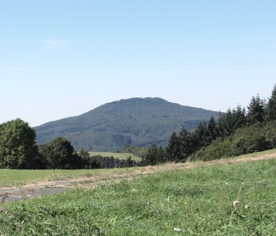 Uitzicht op de Aremberg vanaf Winnerath, © TI Hocheifel-Nürburgring