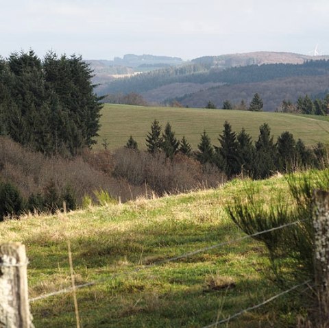 Eifelhoogten bij Arzfeld, © Volker Teuschler