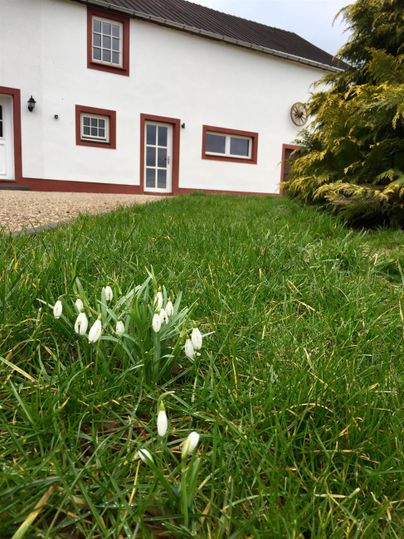 Une façade blanche d'une maison avec des accents rouges est visible en arrière-plan. Au premier plan, des perce-neige poussent dans l'herbe verte.