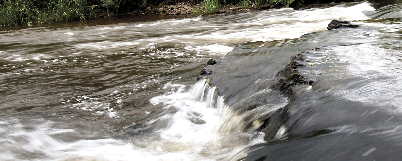 Ein Bach fließt über Felsen, bildet kleine Wasserfälle. Üppige grüne Vegetation säumt das Ufer. Naturbelassene, ruhige Landschaft., © Naturpark Südeifel, R. Clement