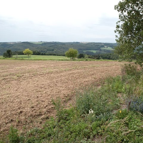 Eifel uitzicht bij Preischeid