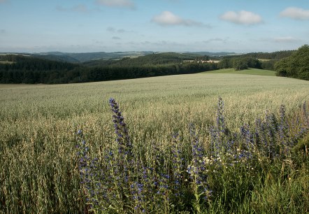 South Eifel Nature Park, &copy; ZV Naturpark S&uuml;deifel, Joelle Mathias