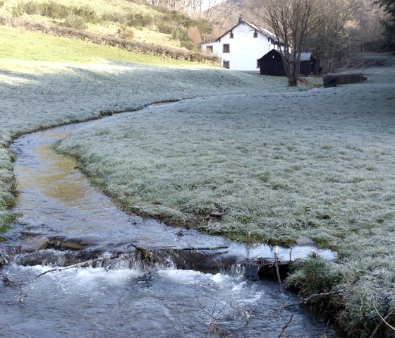 Steinkaulsm&uuml;hle mill on the M&uuml;hlbach stream near Dahnen, &copy; Tourist-Information Islek