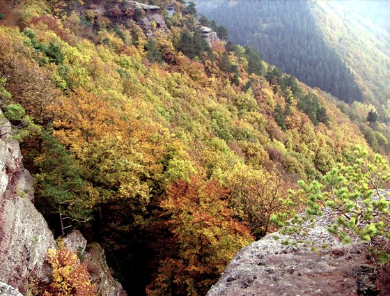 Herfst indrukken