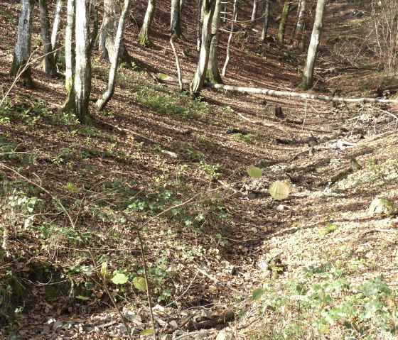 Klein beekje in het bos, © Tourist-Information Islek