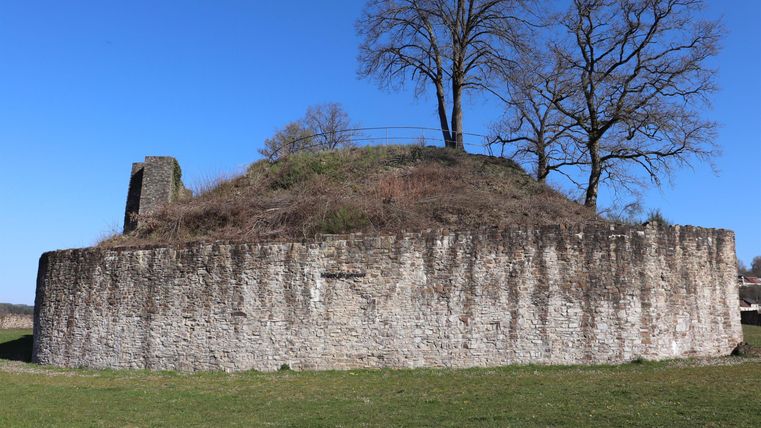 An old castle ruin with a round stone wall and some trees on top. The sky is clear and blue.