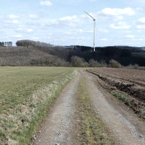 Spazierweg über die Felder, © Tourist-Information Islek