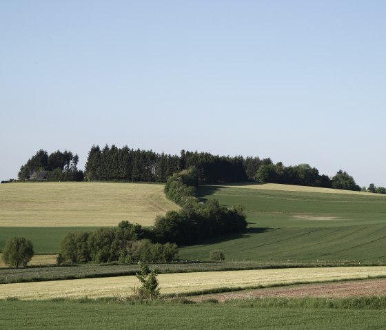 Landscape along hiking trail no. 15, © Tourist-Information Islek
