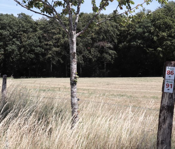 Op wandelroute nr. 86 in de richting van Lauperath, © TI Islek