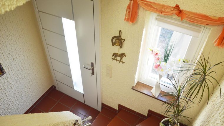 Ein heller Eingangsbereich mit einer modernen Tür und einem Fenster. Frische Pflanzen und dekorative Elemente sorgen für eine einladende Atmosphäre.