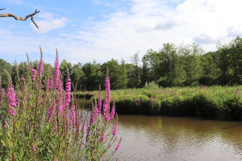 Ein gemütlicher Außenbereich mit einem Holztisch und Stühlen unter einem überdachten Terrassendach. Im Hintergrund sieht man eine grüne Landschaft und einen blauen Himmel.