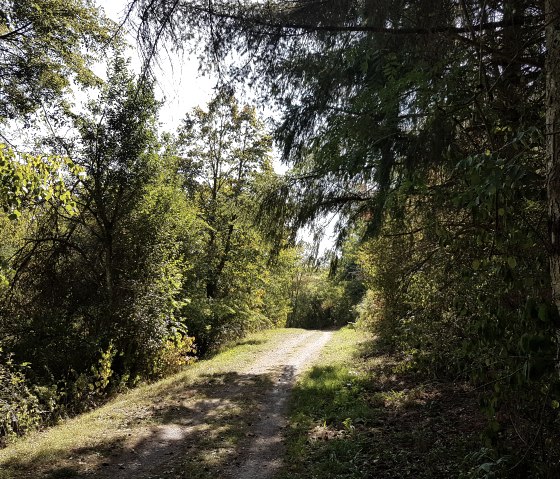Hiking trail no. 15 at the Arzfeld reservoir, &copy; Tourist-Information Islek