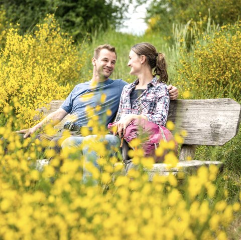A couple sits smiling on a wooden bench, surrounded by blooming yellow broom in a green landscape., &copy; Eifel Tourismus GmbH, Dominik Ketz