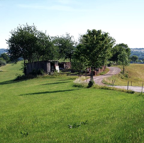 Hoogte in de buurt van Krautscheid, © C. Kempe
