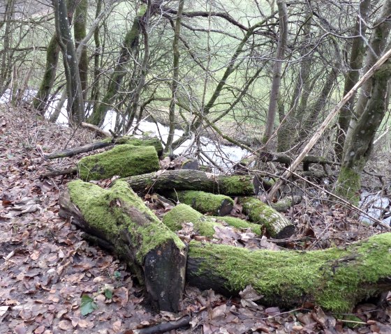 Along the stream, &copy; Tourist-Information Islek