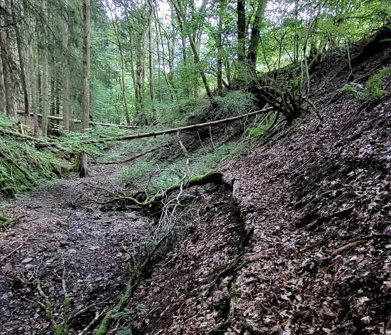 Dierbachtal, &copy; Tourist-Information Islek