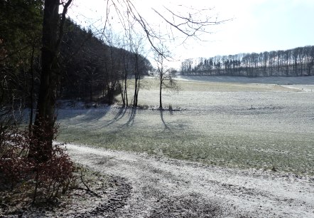 Valley of the Holmicht stream, © Tourist-Information Islek