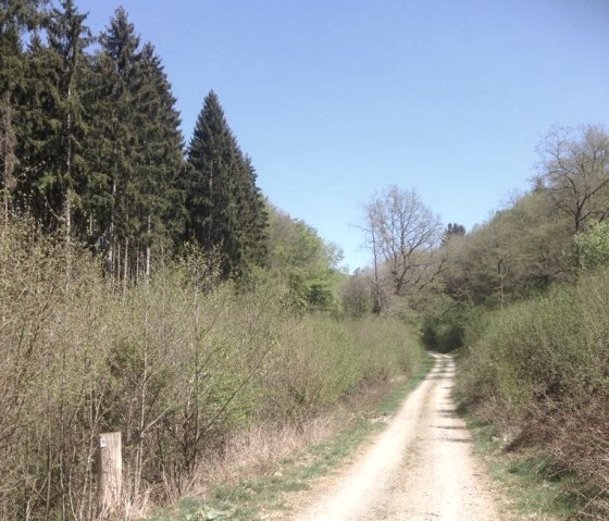 Hiking trail 15, © Tourist-Info Islek