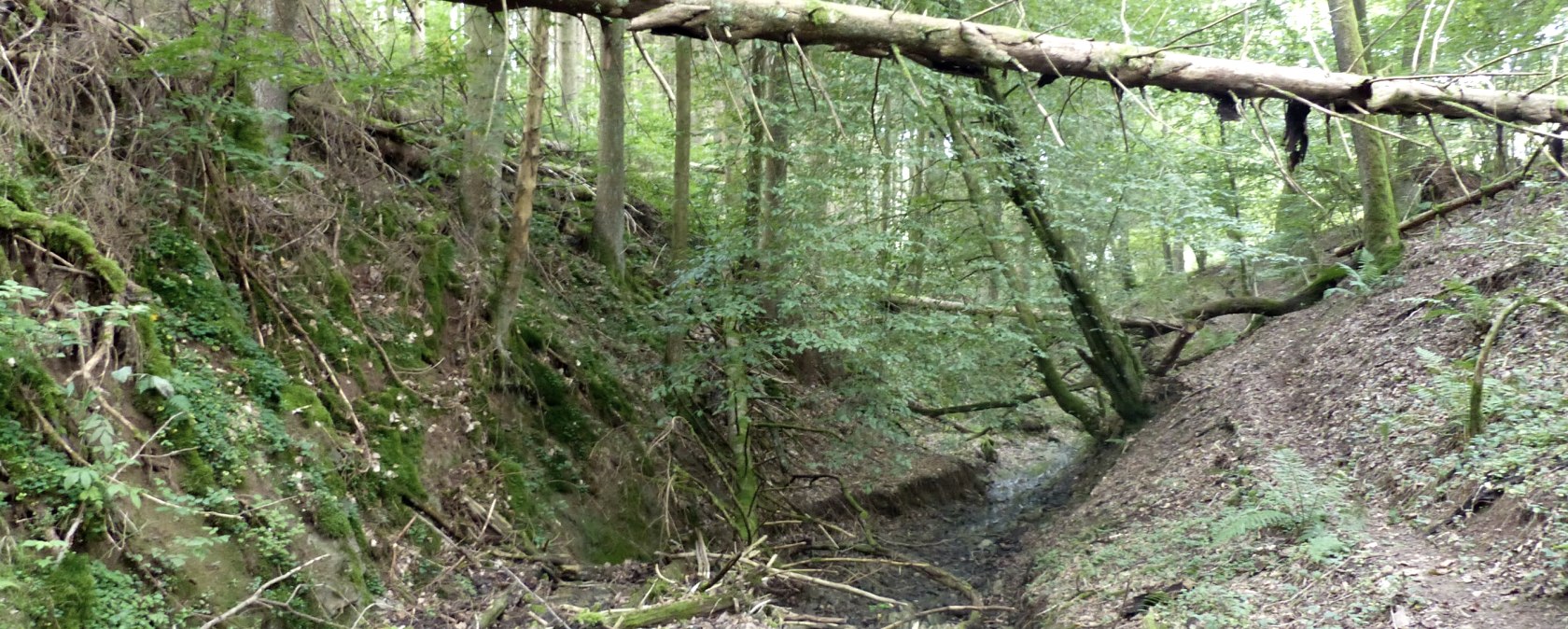 P1120313, &copy; Tourist-Information Islek