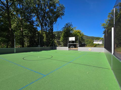 Ein Sportplatz mit grünem Kunstrasen und einem Basketballkorb. Im Hintergrund sind Bäume und blauer Himmel zu sehen.